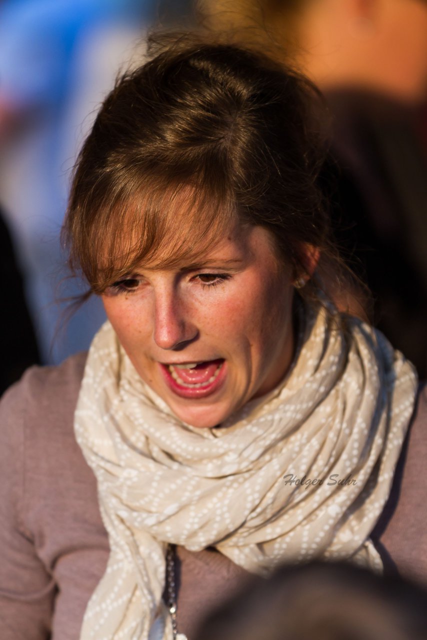 Bild 133 - Wiemersdorfer Maibaum